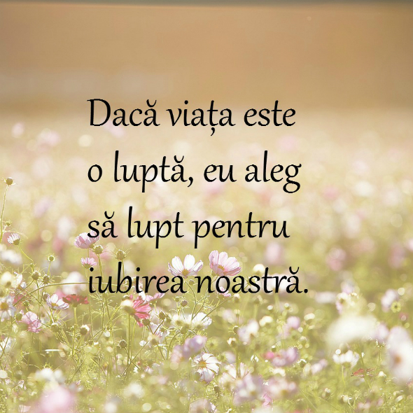 Mesaje De Dragoste Pentru Iubita